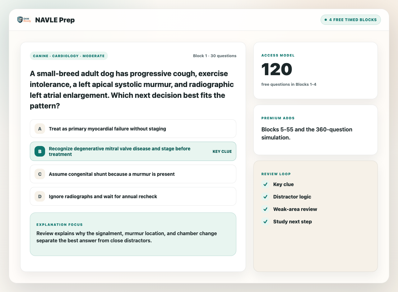 DVMReady NAVLE-style practice preview showing timed case review, free access, premium access, and review loop