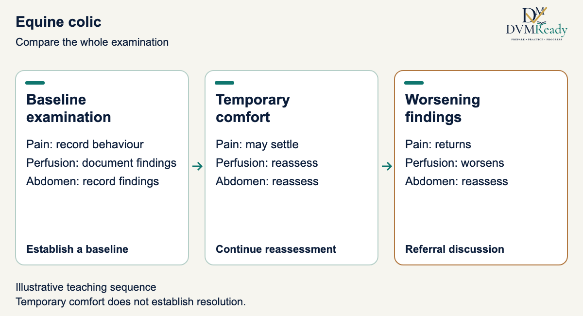 Three-stage educational diagram showing how recurrent pain and worsening examination findings can increase referral urgency in a horse with colic.